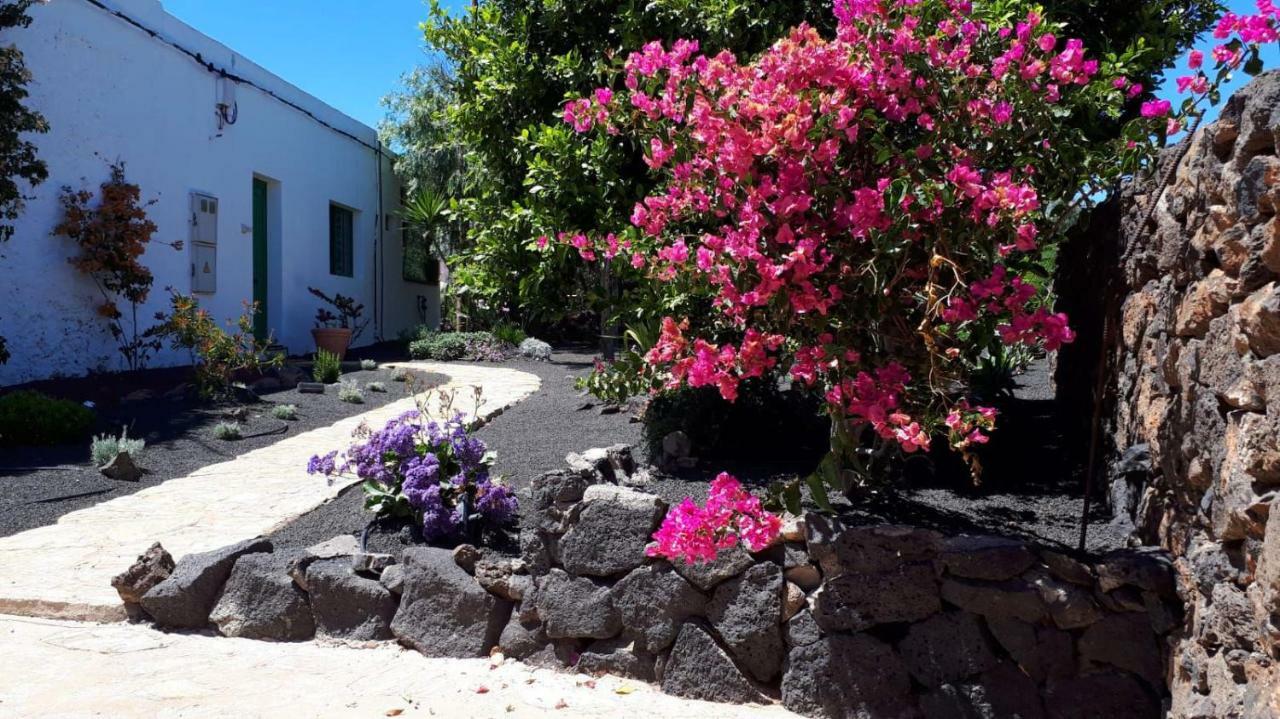 Vila Casa Tara Mácher Exteriér fotografie